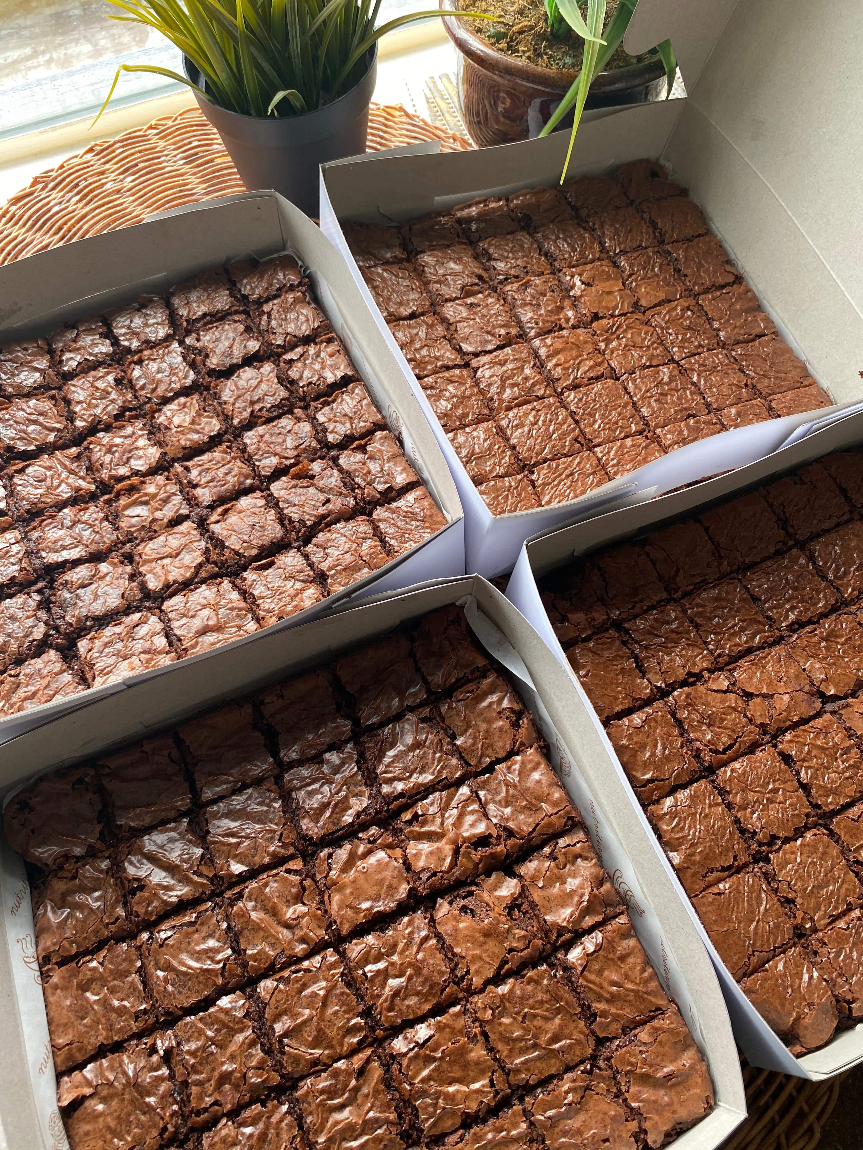 BROWNIES CLASSIC