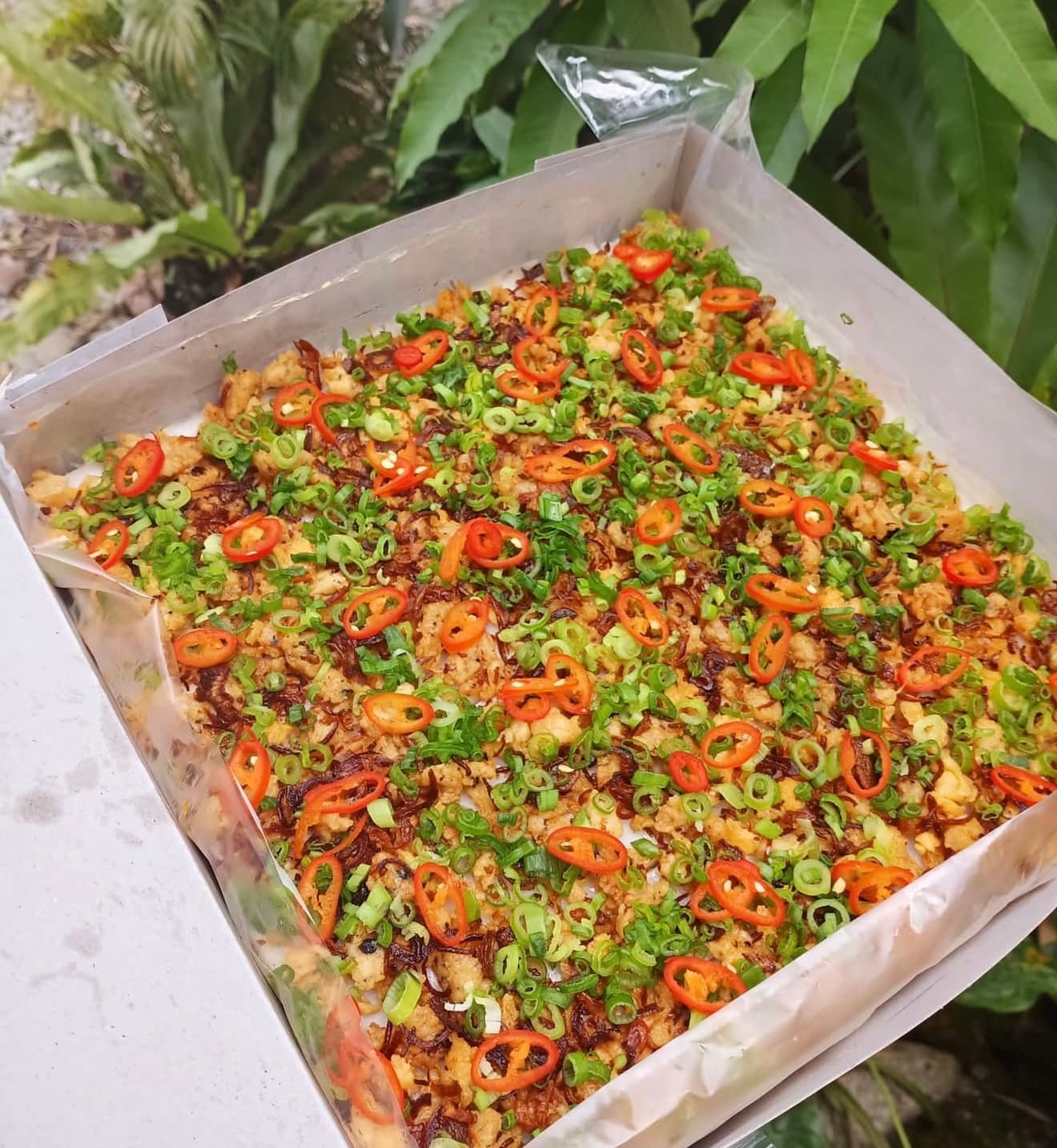 (PREORDER) TALAM BERLAUK 64 PCS