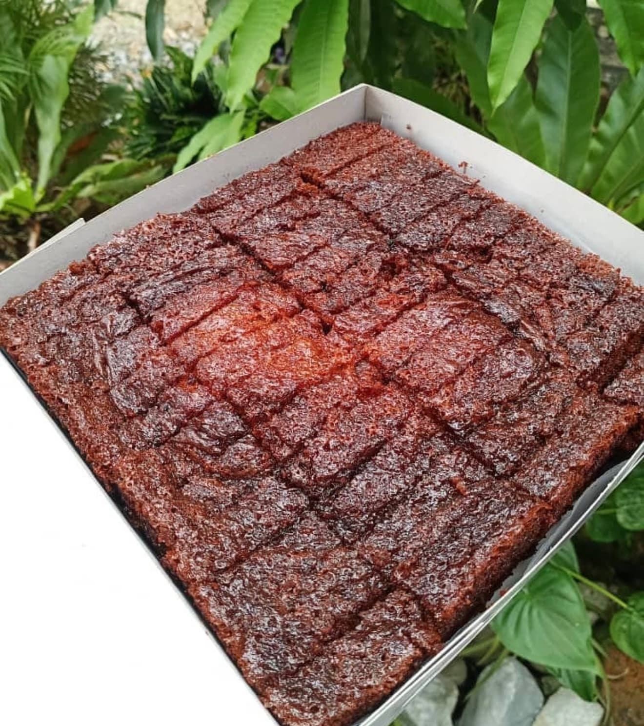 (PREORDER) KEK GULA HANGUS